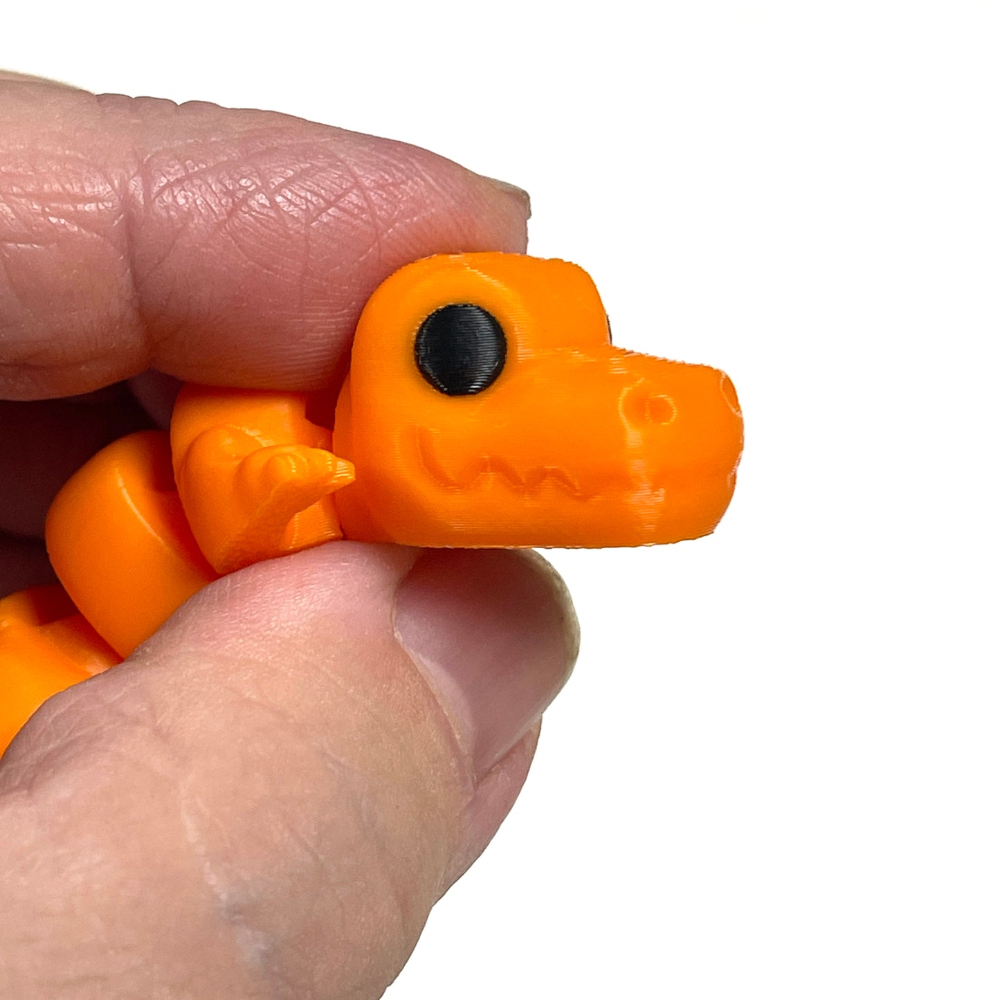 Tyranosaurus Articulated Model