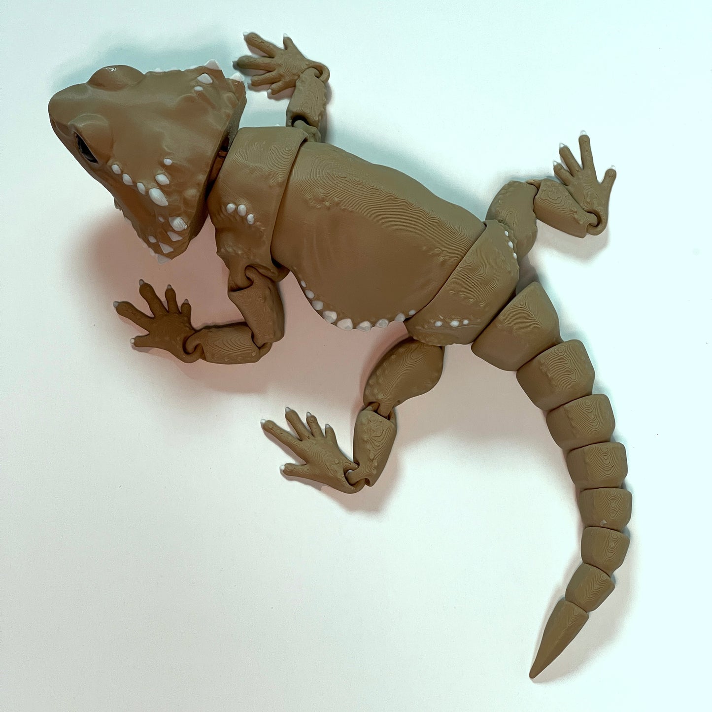 Articulated Bearded Dragon - Flexible Bearded Dragon