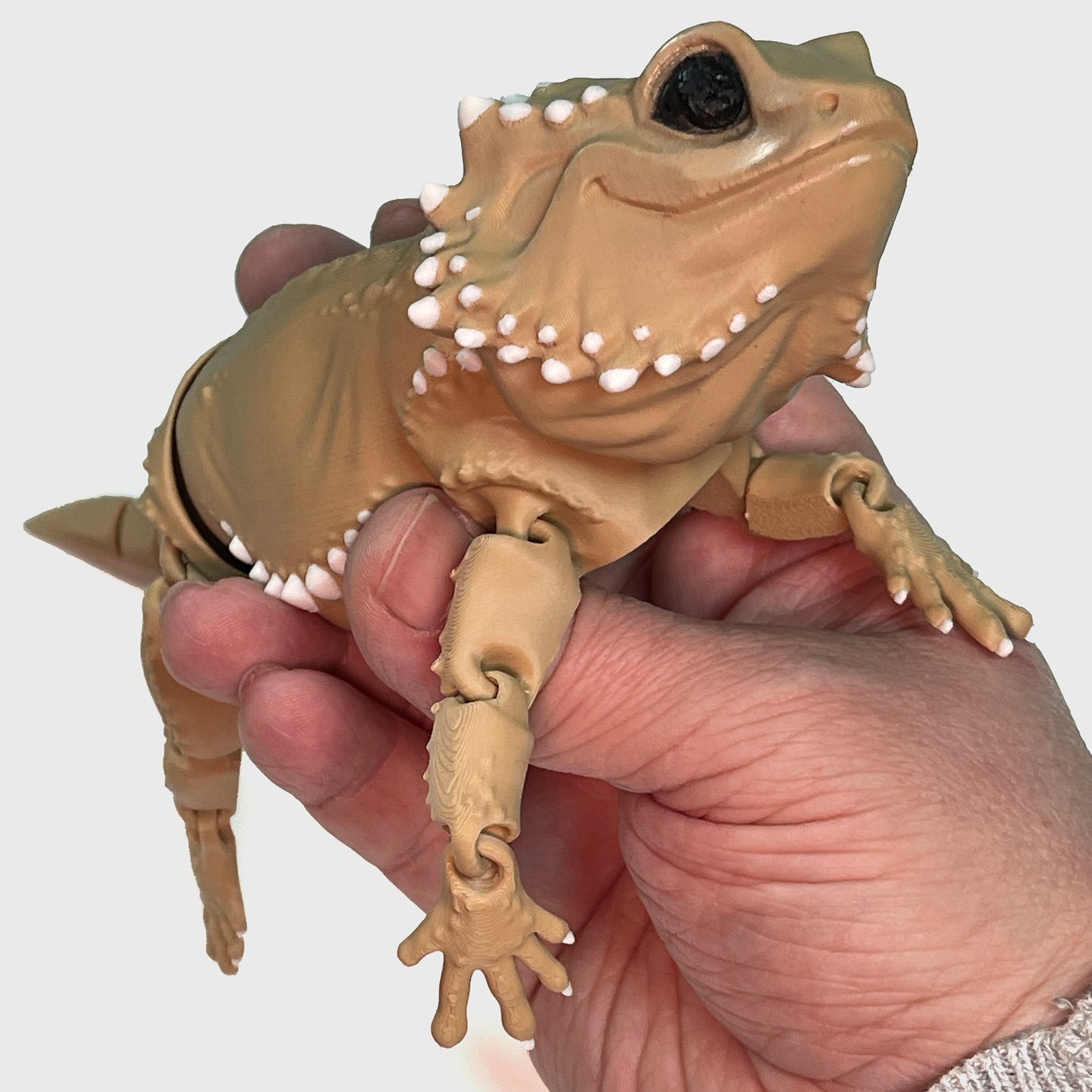 Articulated Bearded Dragon - Flexible Bearded Dragon