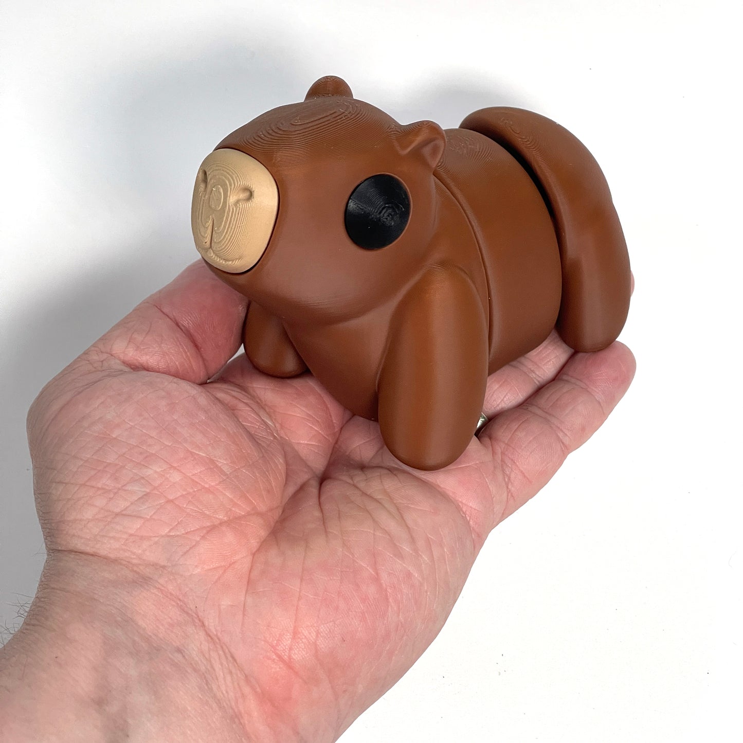 Capybara Articulated Model