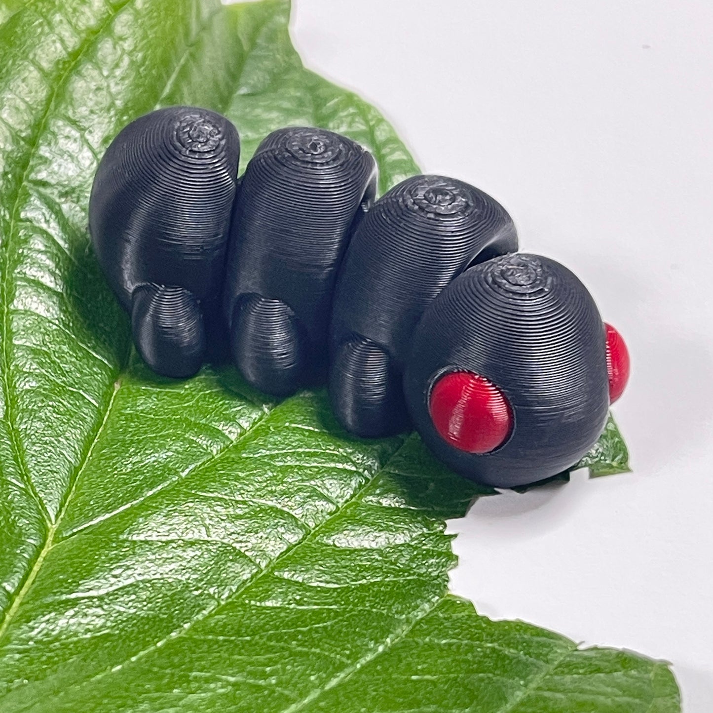 Catapillar Fidget Toy