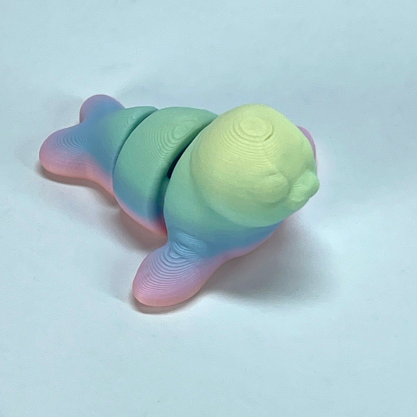 Rainbow Mini Flexible Fidget Toys