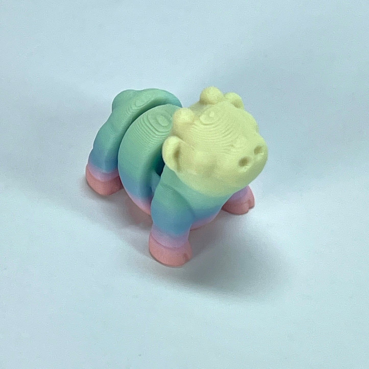 Rainbow Mini Flexible Fidget Toys