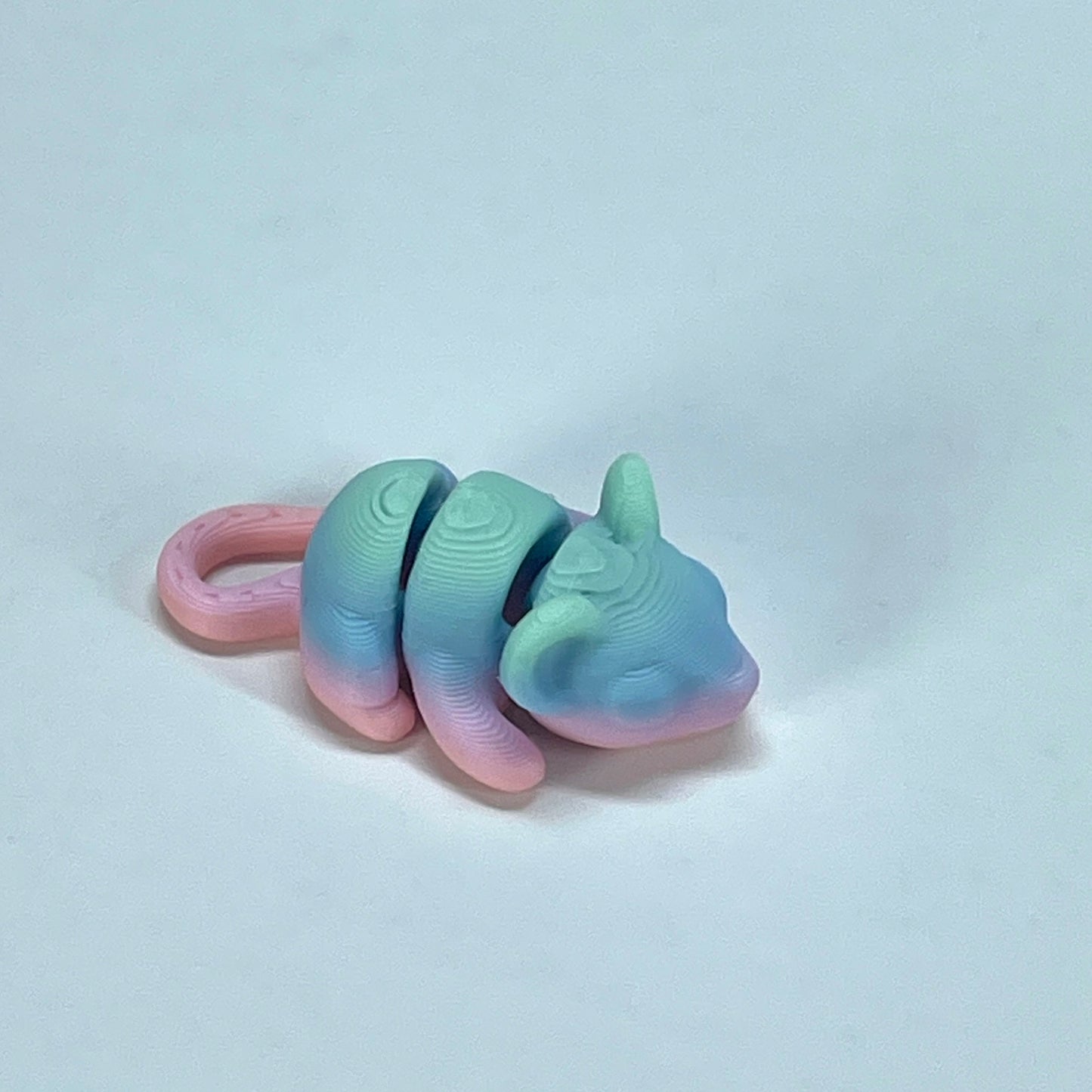 Rainbow Mini Flexible Fidget Toys