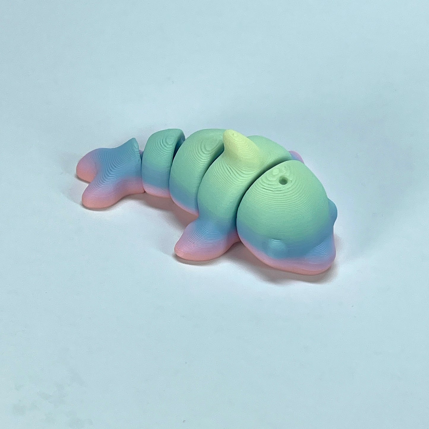 Rainbow Mini Flexible Fidget Toys