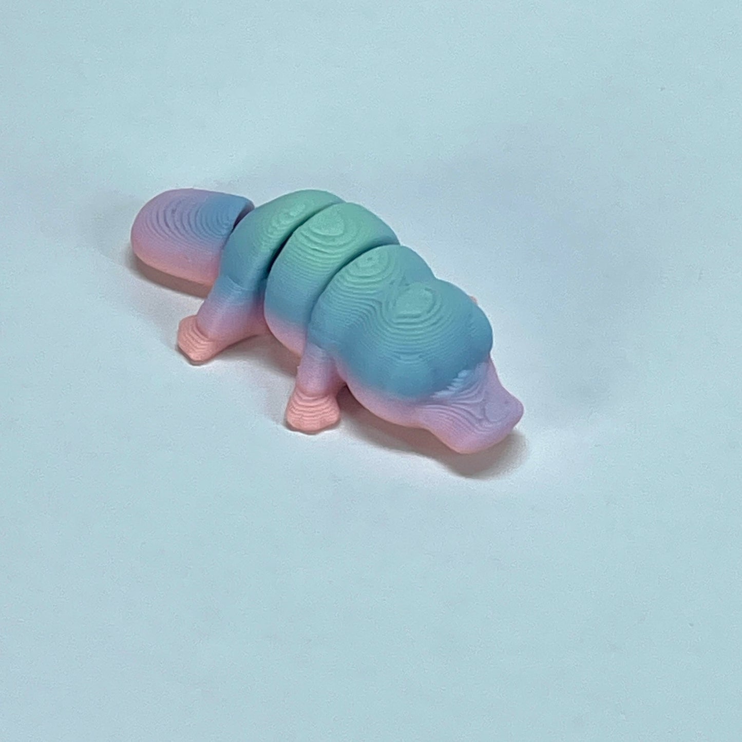 Rainbow Mini Flexible Fidget Toys