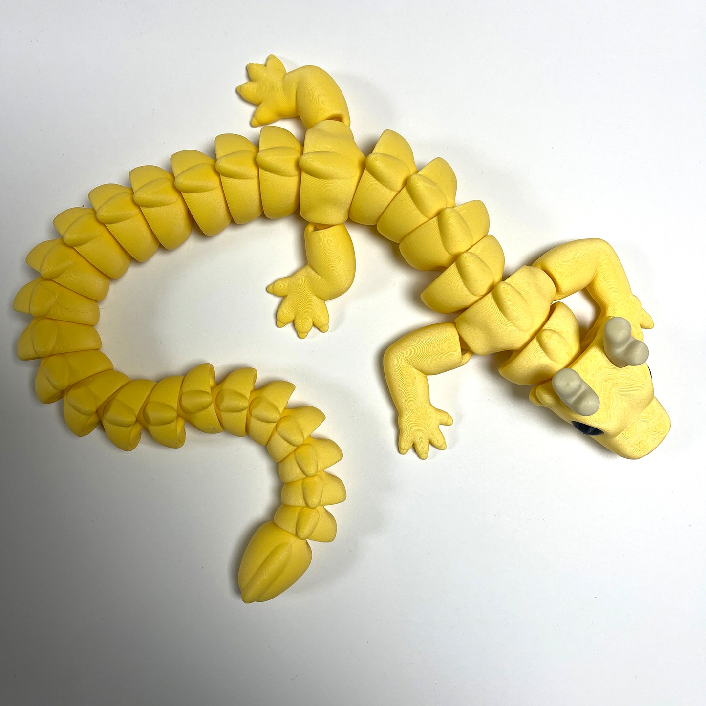 Rounded Horned Dragon Articulated Model