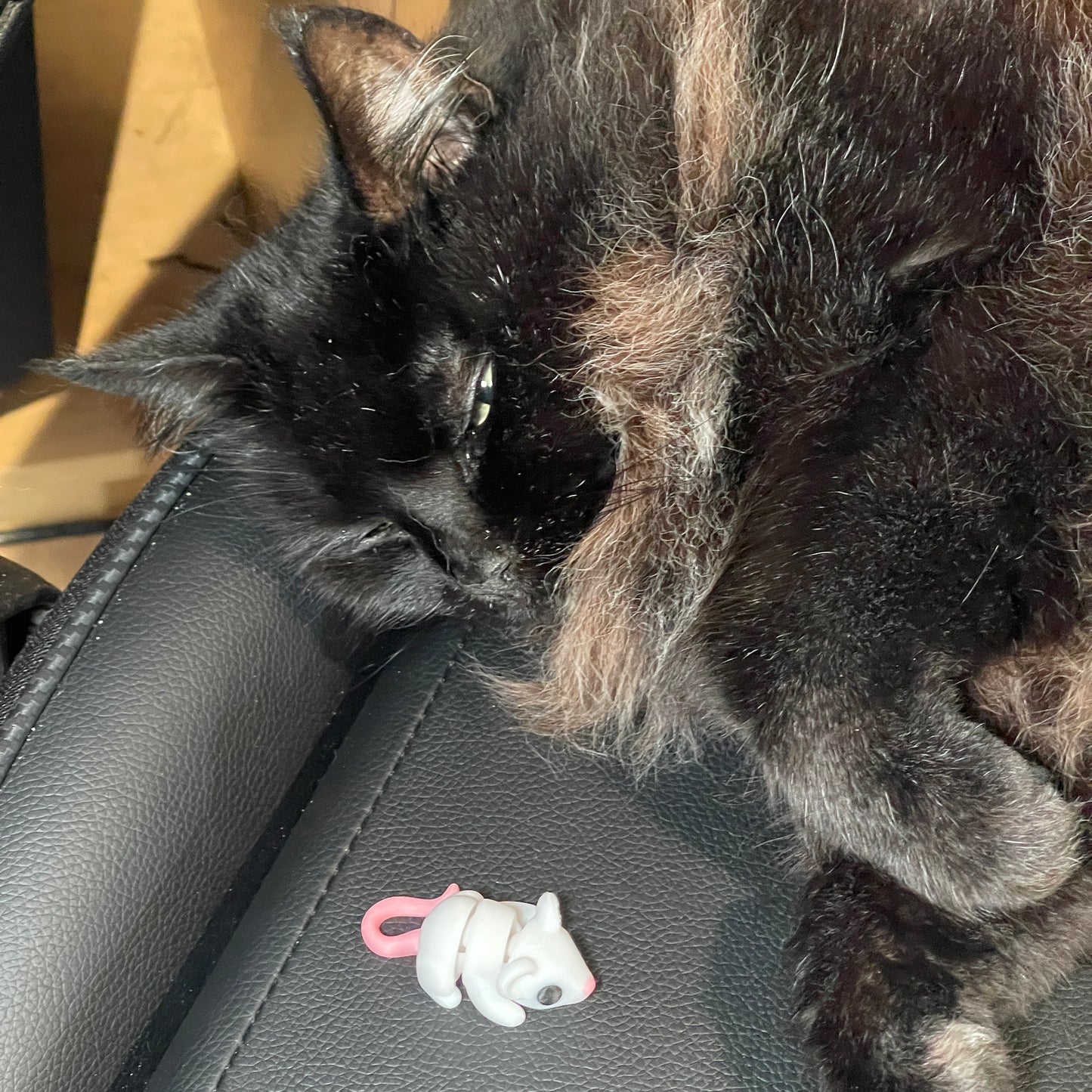 Mouse Fidget Toy