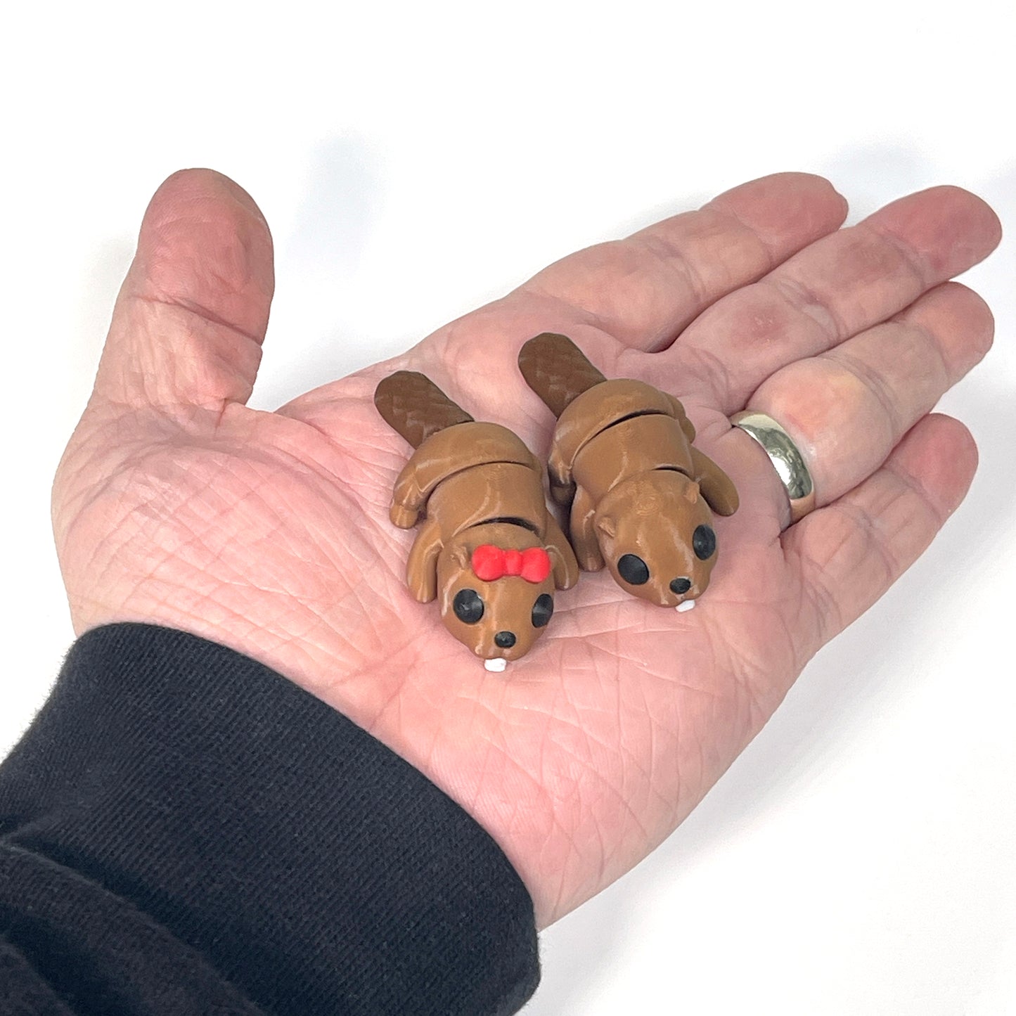 Beaver Fidget Toy