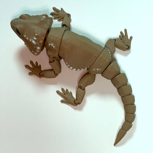 Articulated Bearded Dragon - Flexible Bearded Dragon