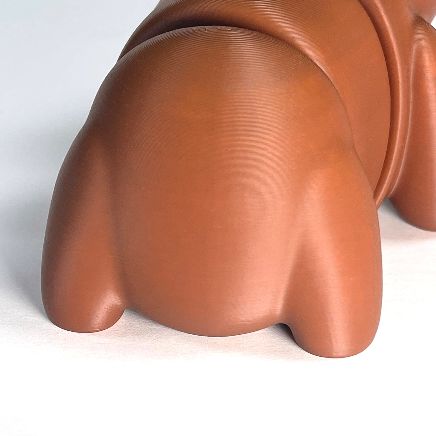 Capybara Articulated Model