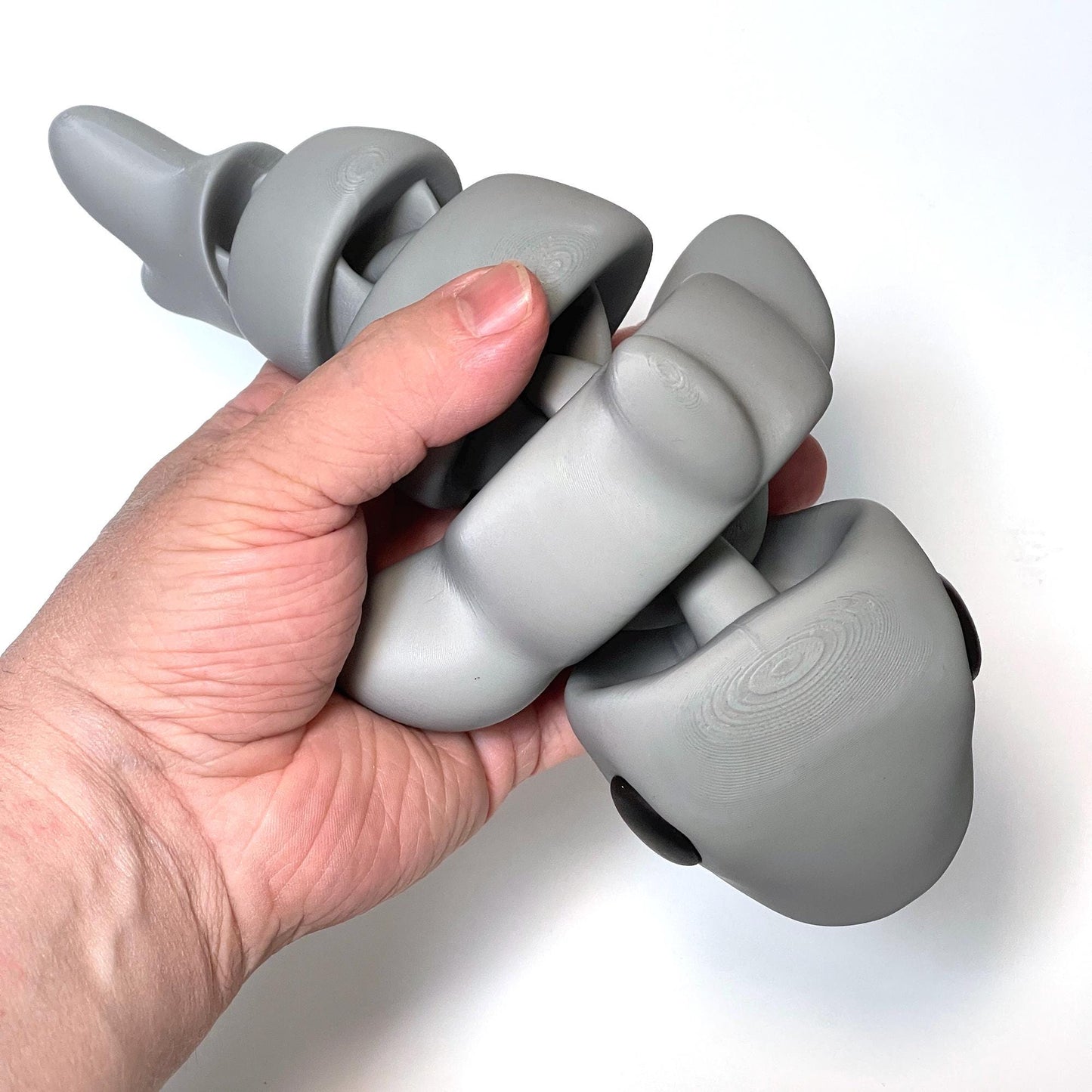 Shark Articulated Model